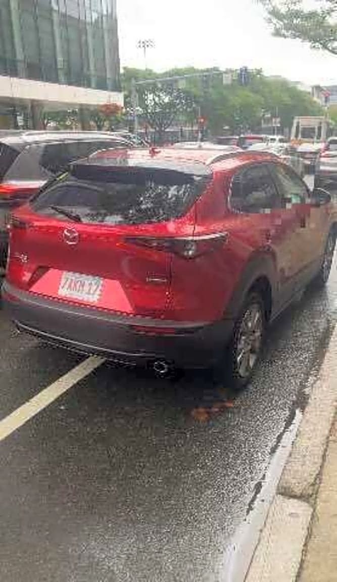 Image submitted with report