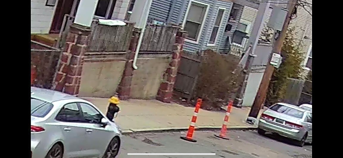 Image submitted with report