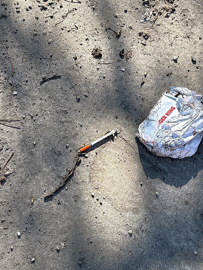 Image submitted with report