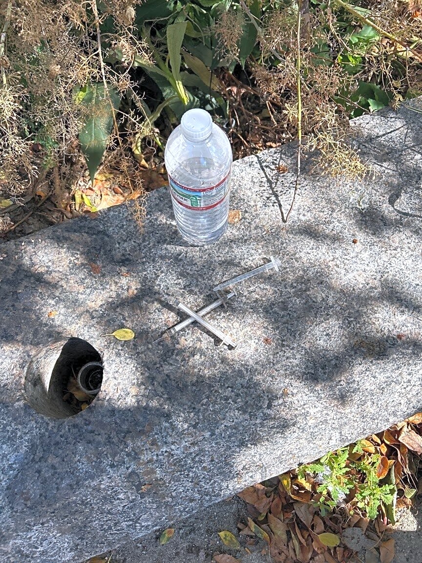 Image submitted with report