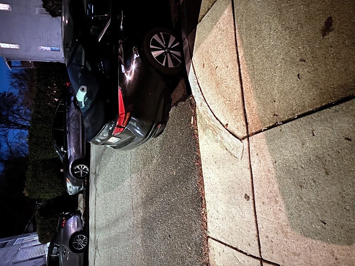 Image submitted with report