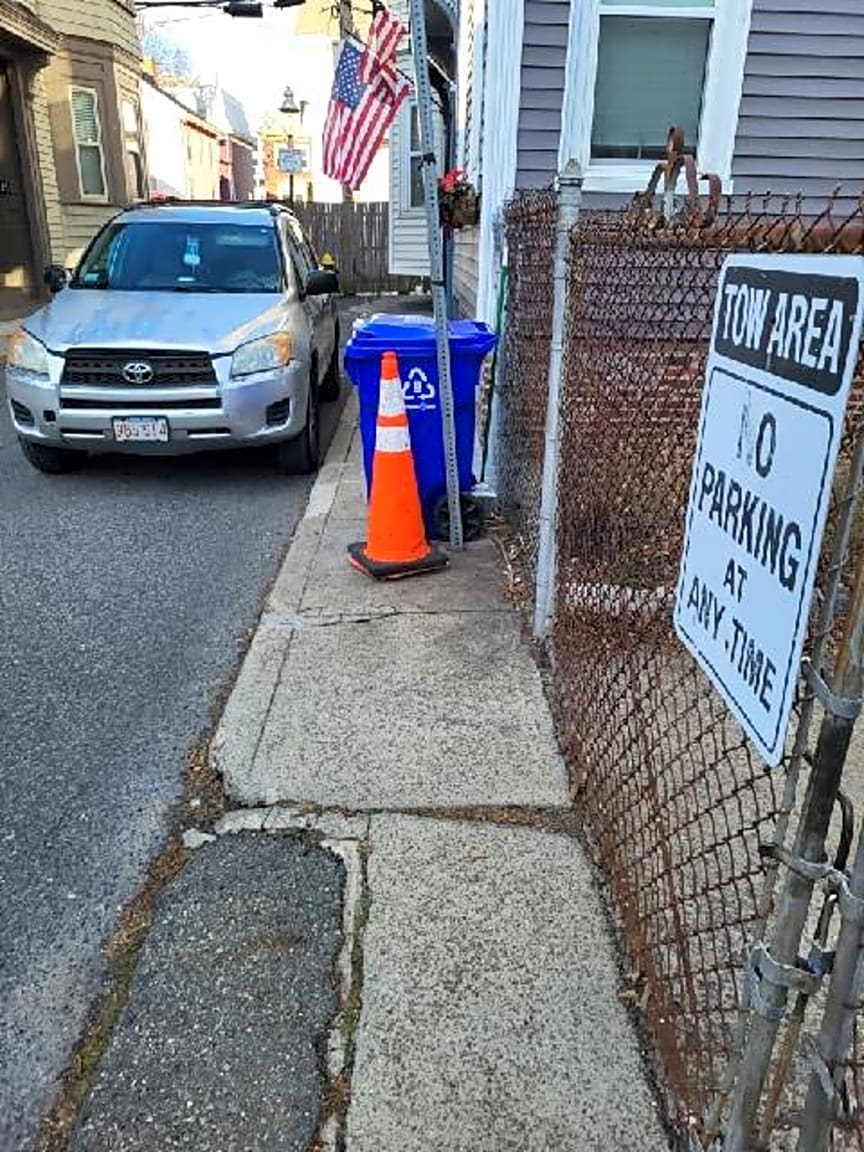 Image submitted with report