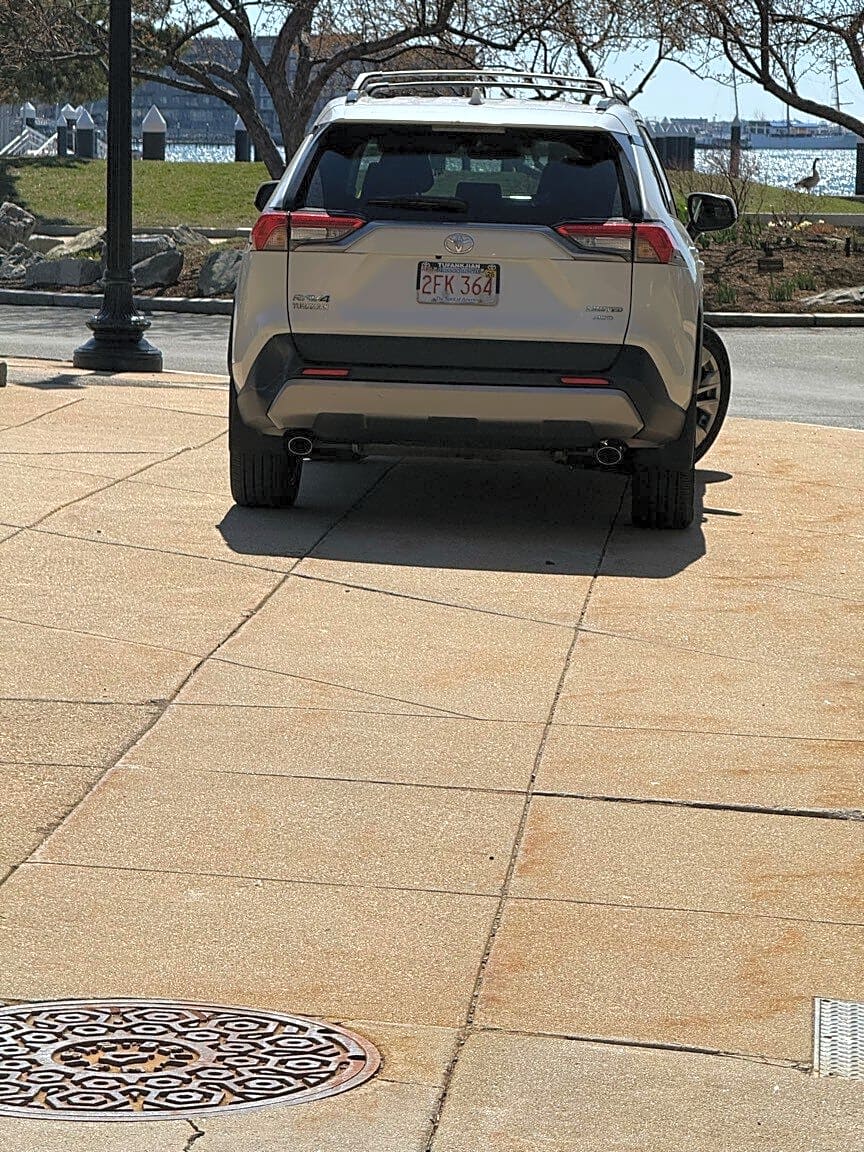 Image submitted with report