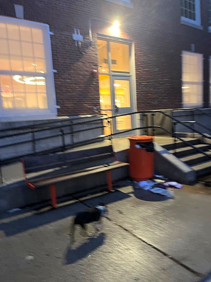 Image submitted with report