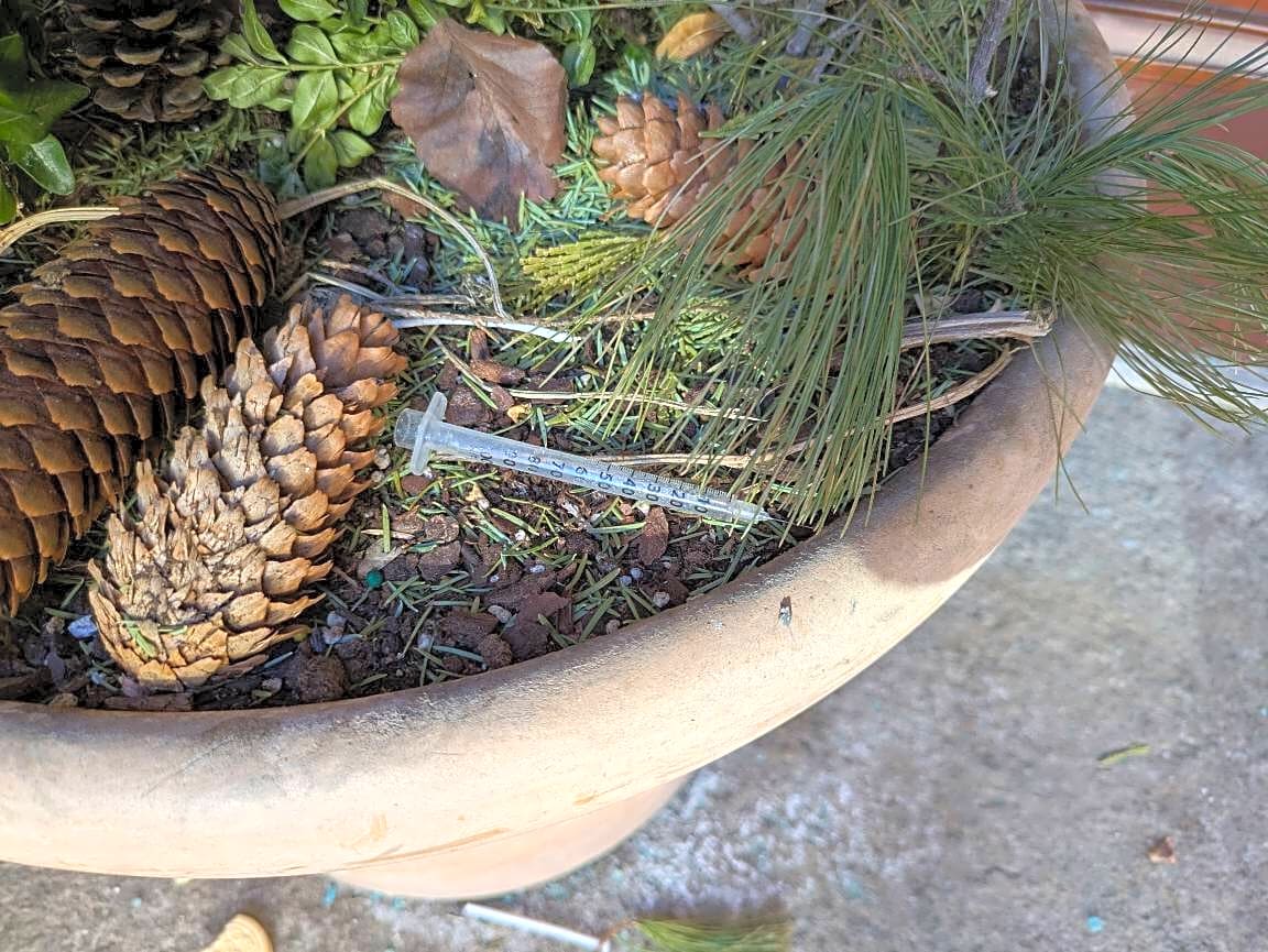 Image submitted with report