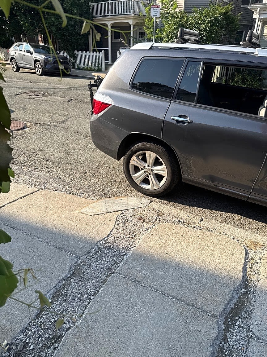 Image submitted with report
