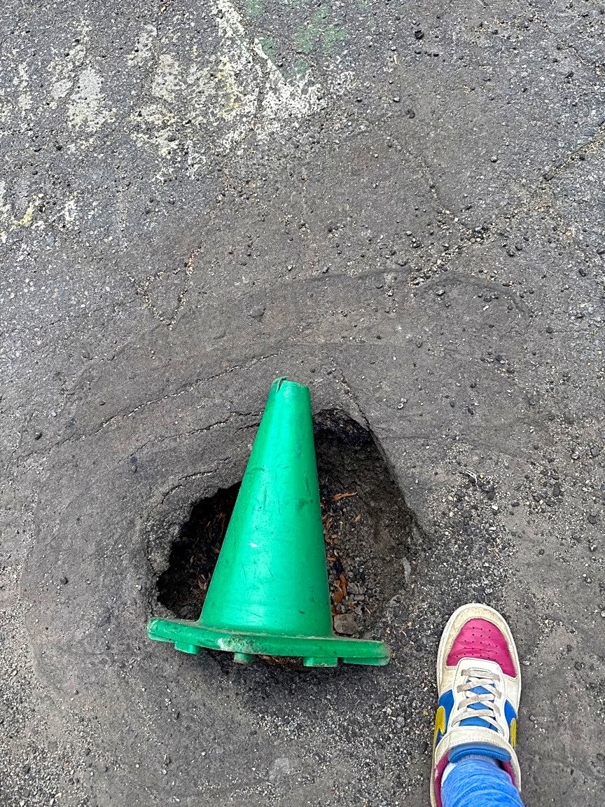 Image submitted with report
