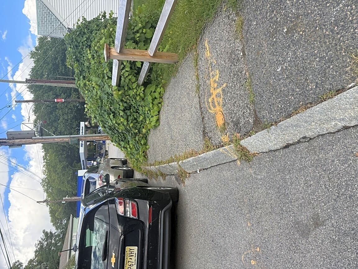 Image submitted with report
