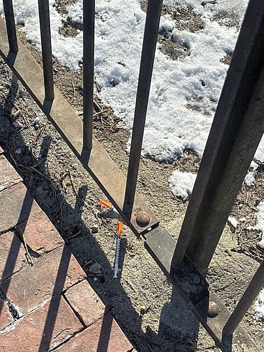 Image submitted with report