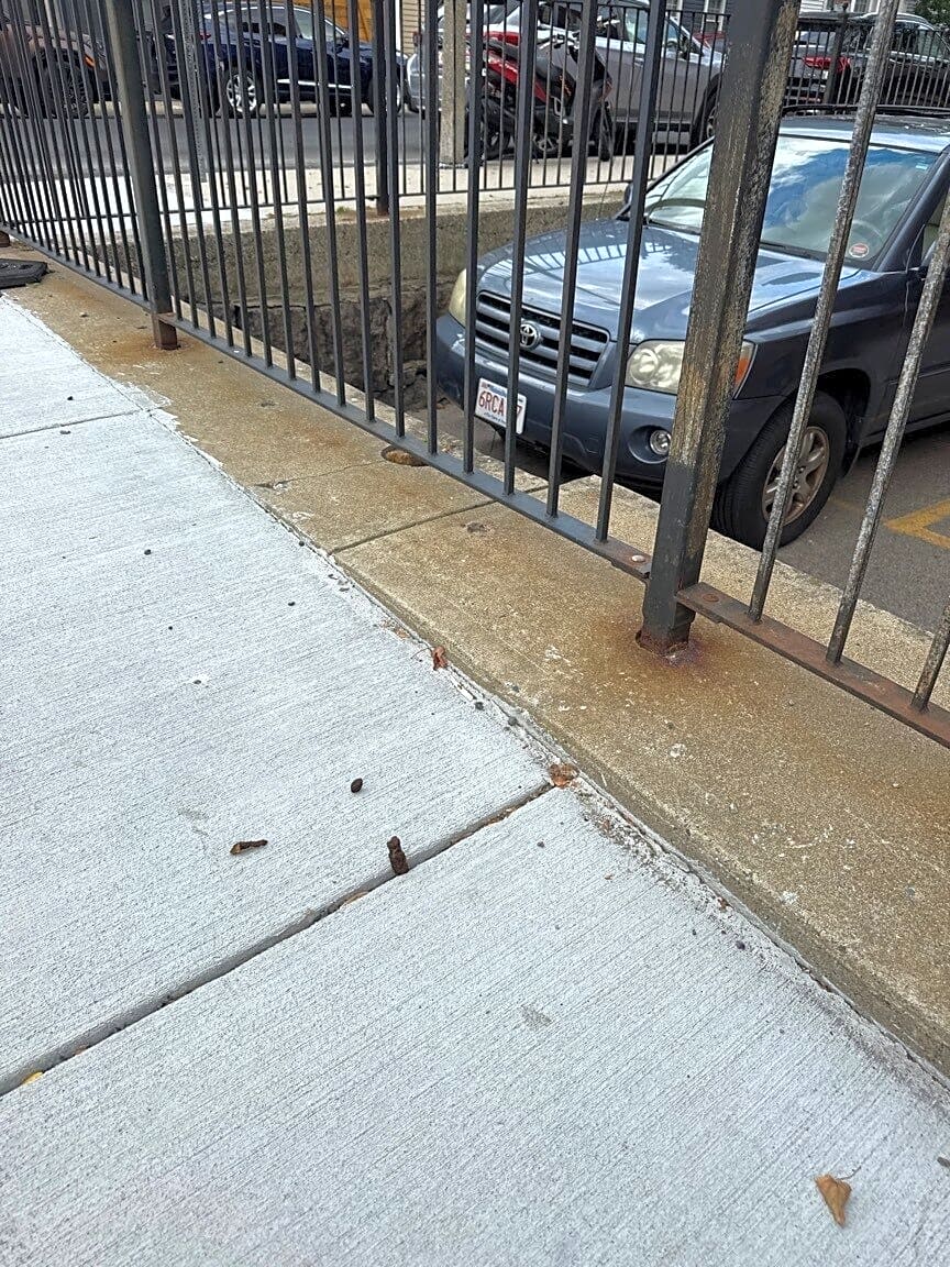 Image submitted with report