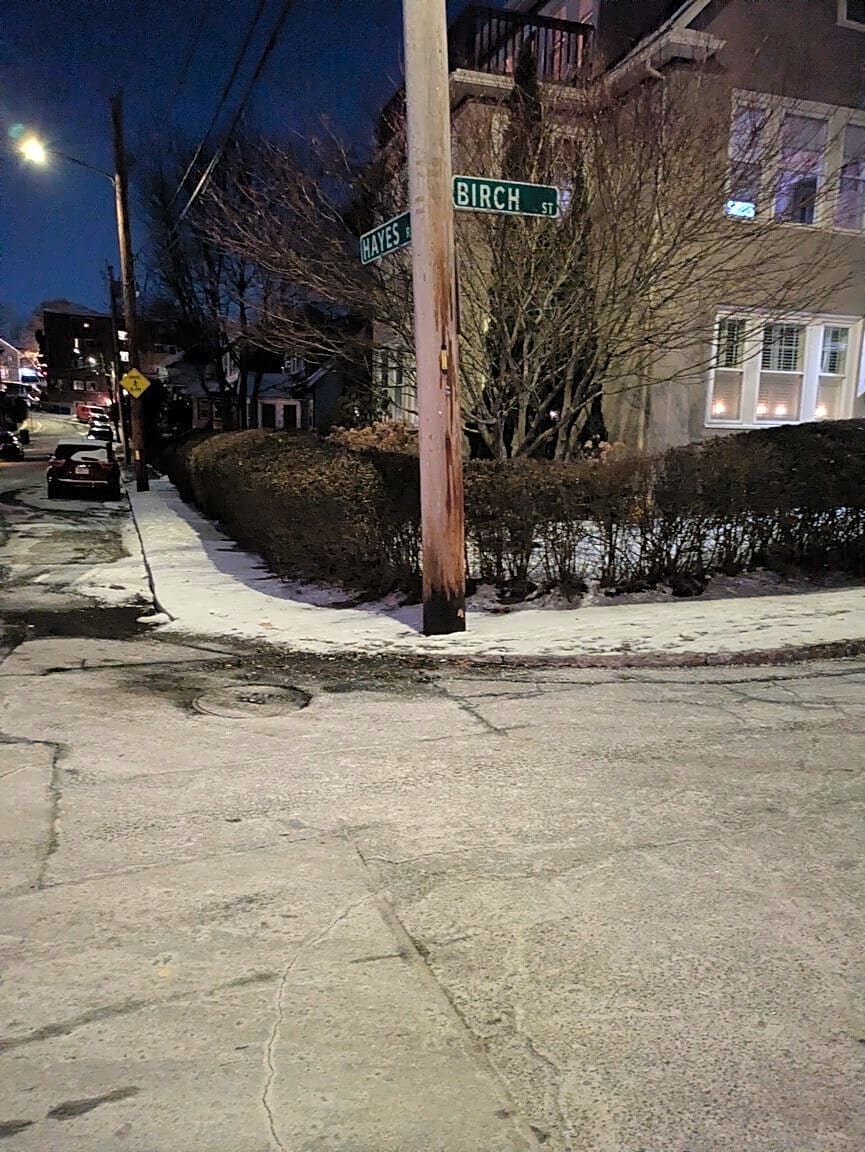 Image submitted with report