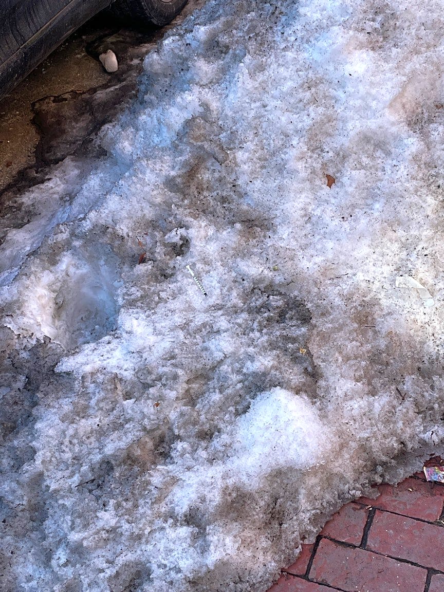 Image submitted with report