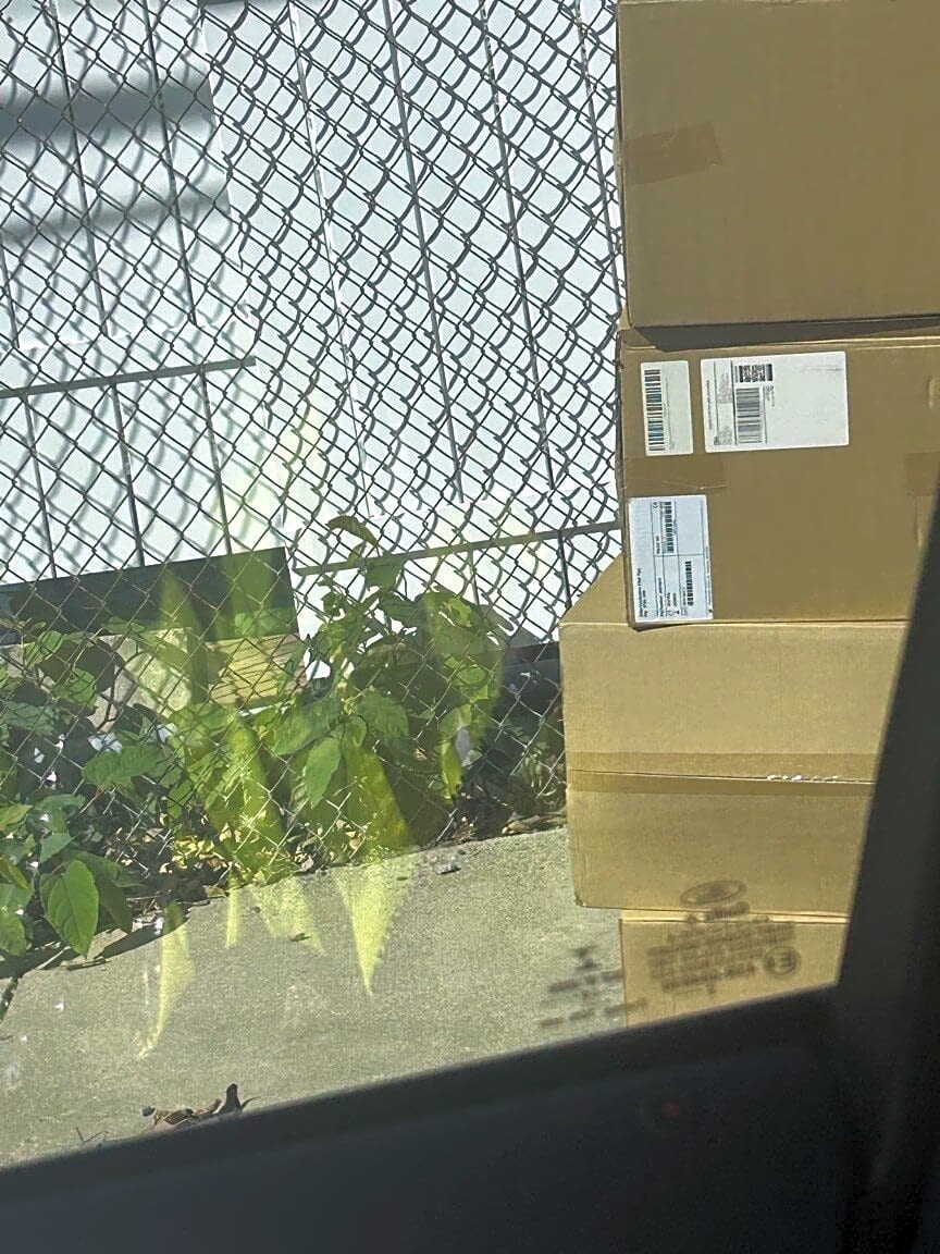 Image submitted with report