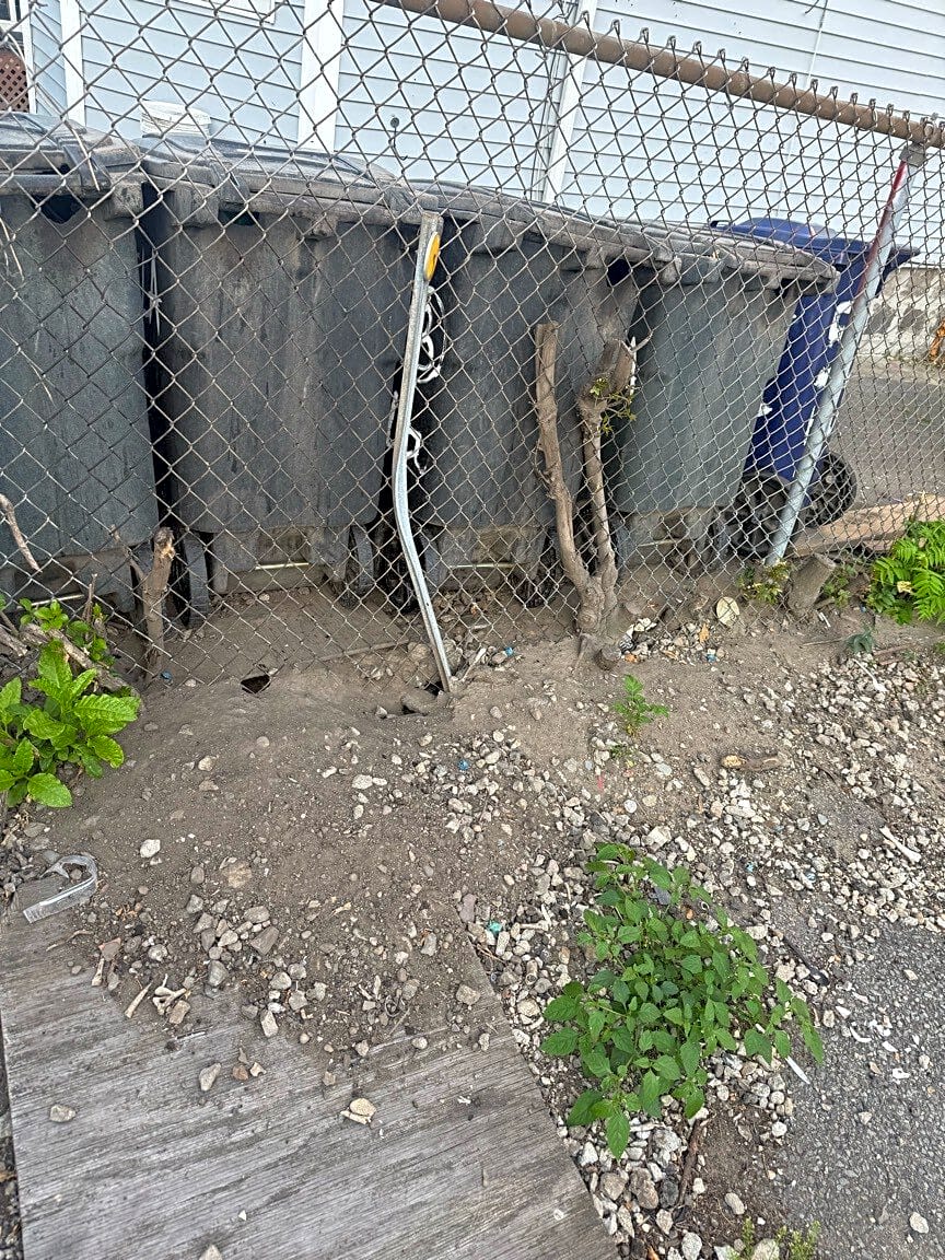 Image submitted with report