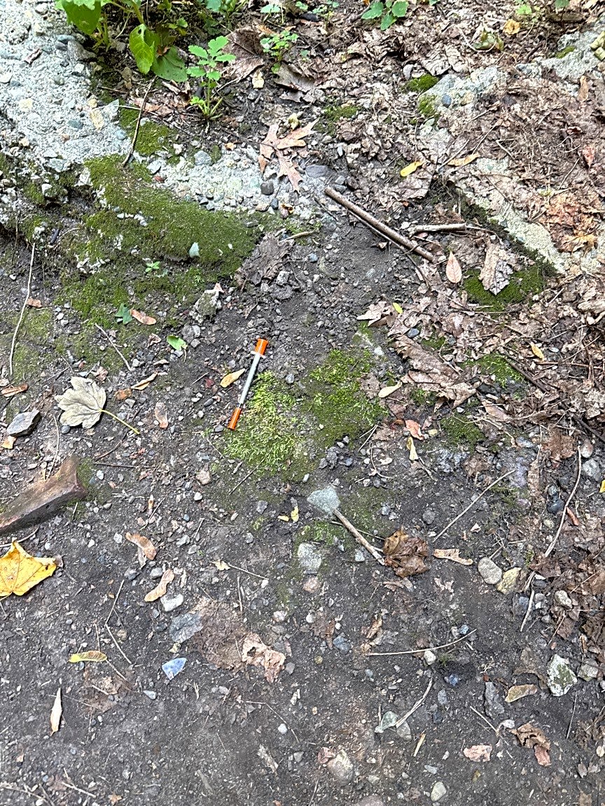 Image submitted with report