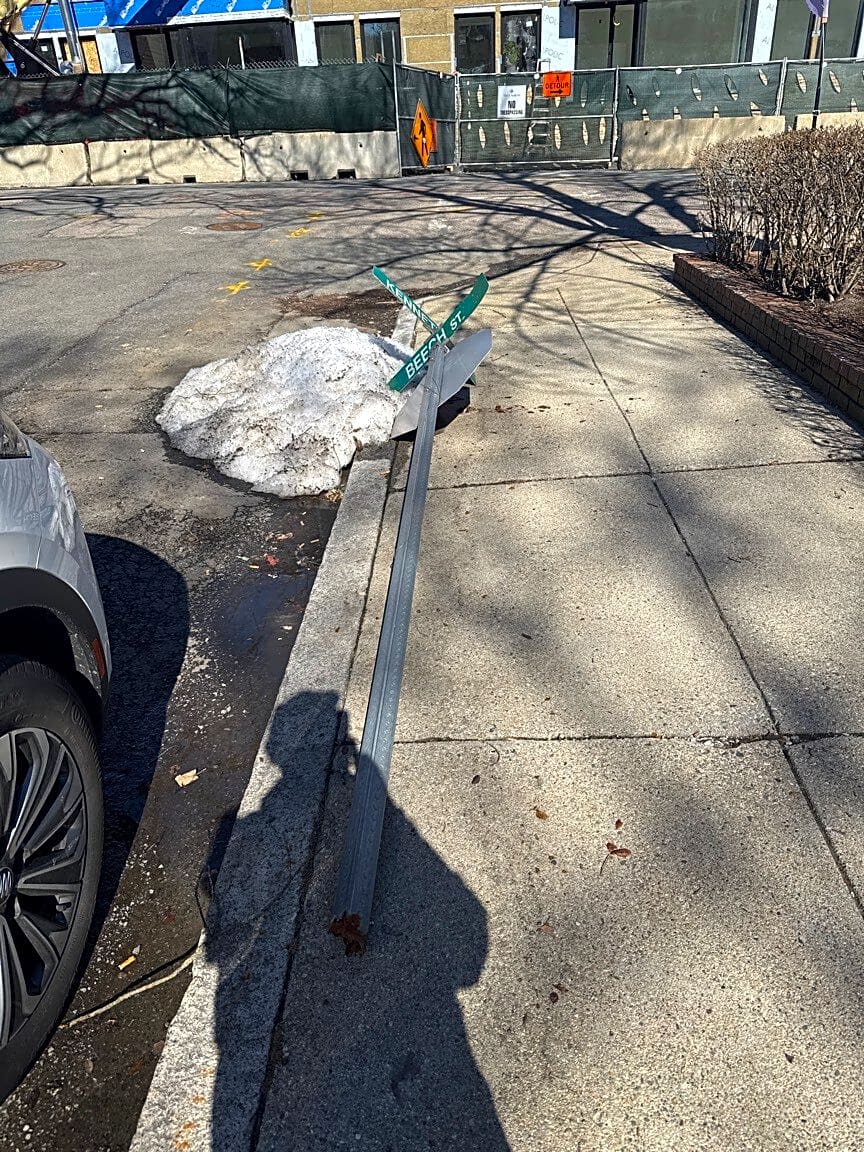 Image submitted with report