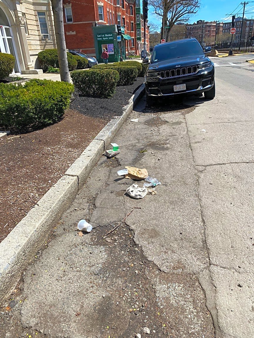 Image submitted with report