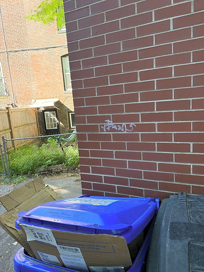 Image submitted with report