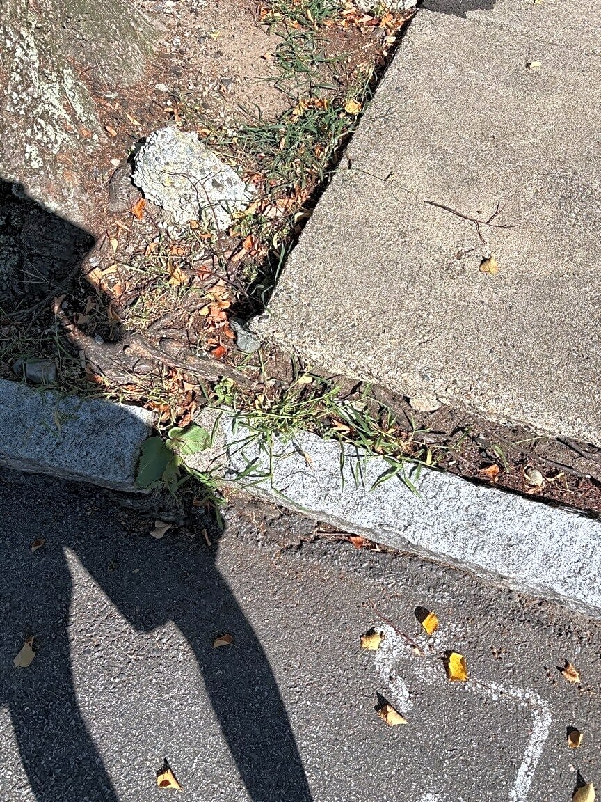 Image submitted with report