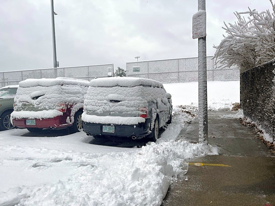 Image submitted with report