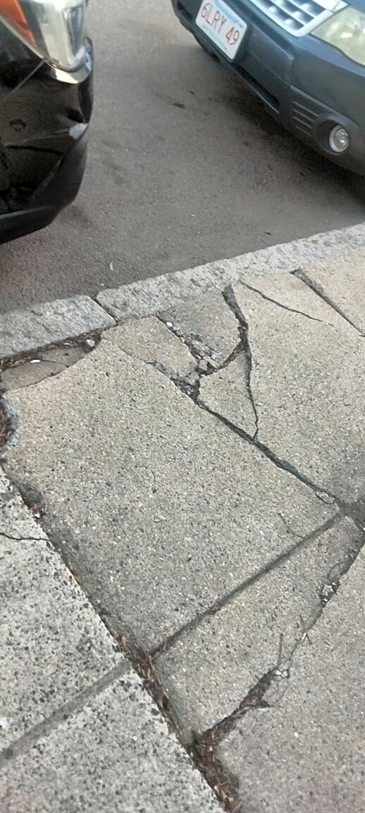 Image submitted with report