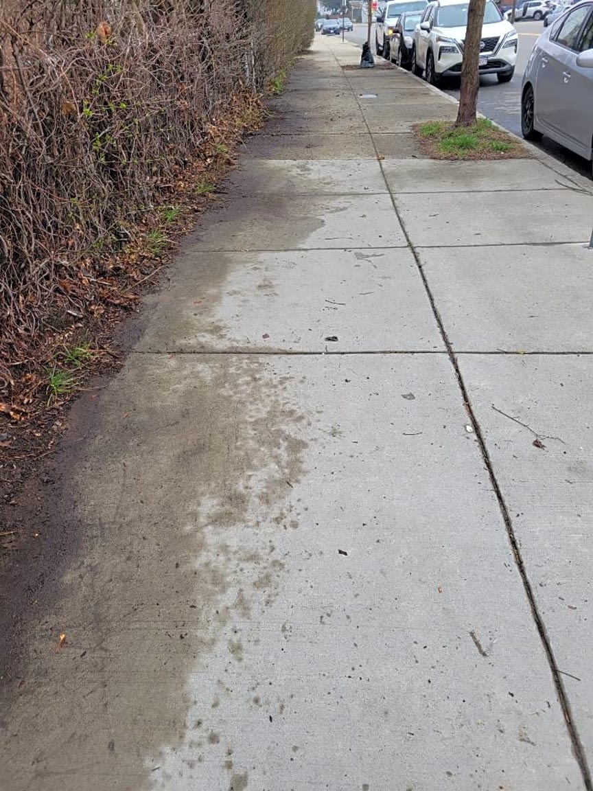 Image submitted with report