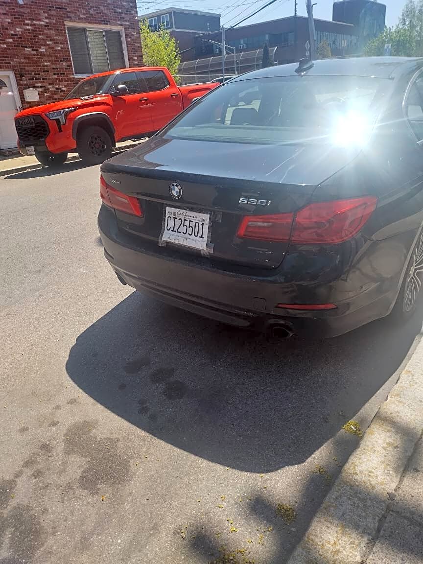 Image submitted with report