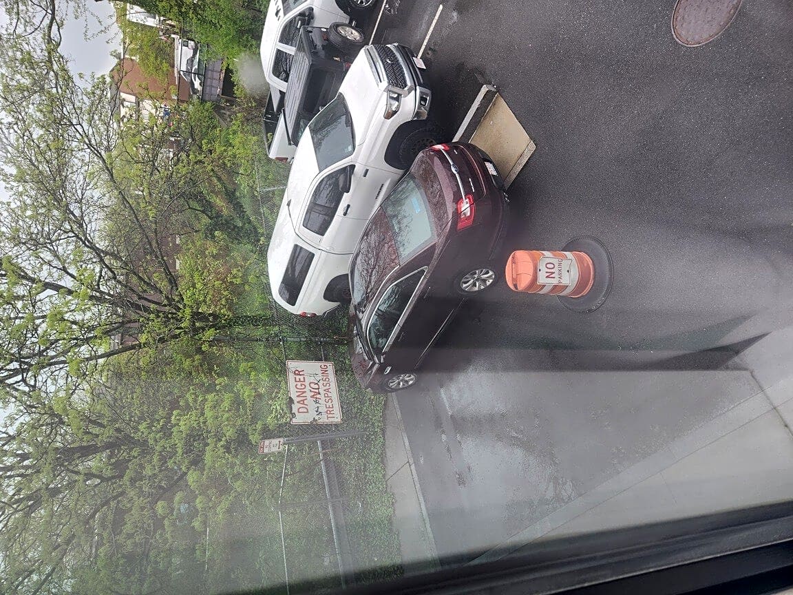 Image submitted with report