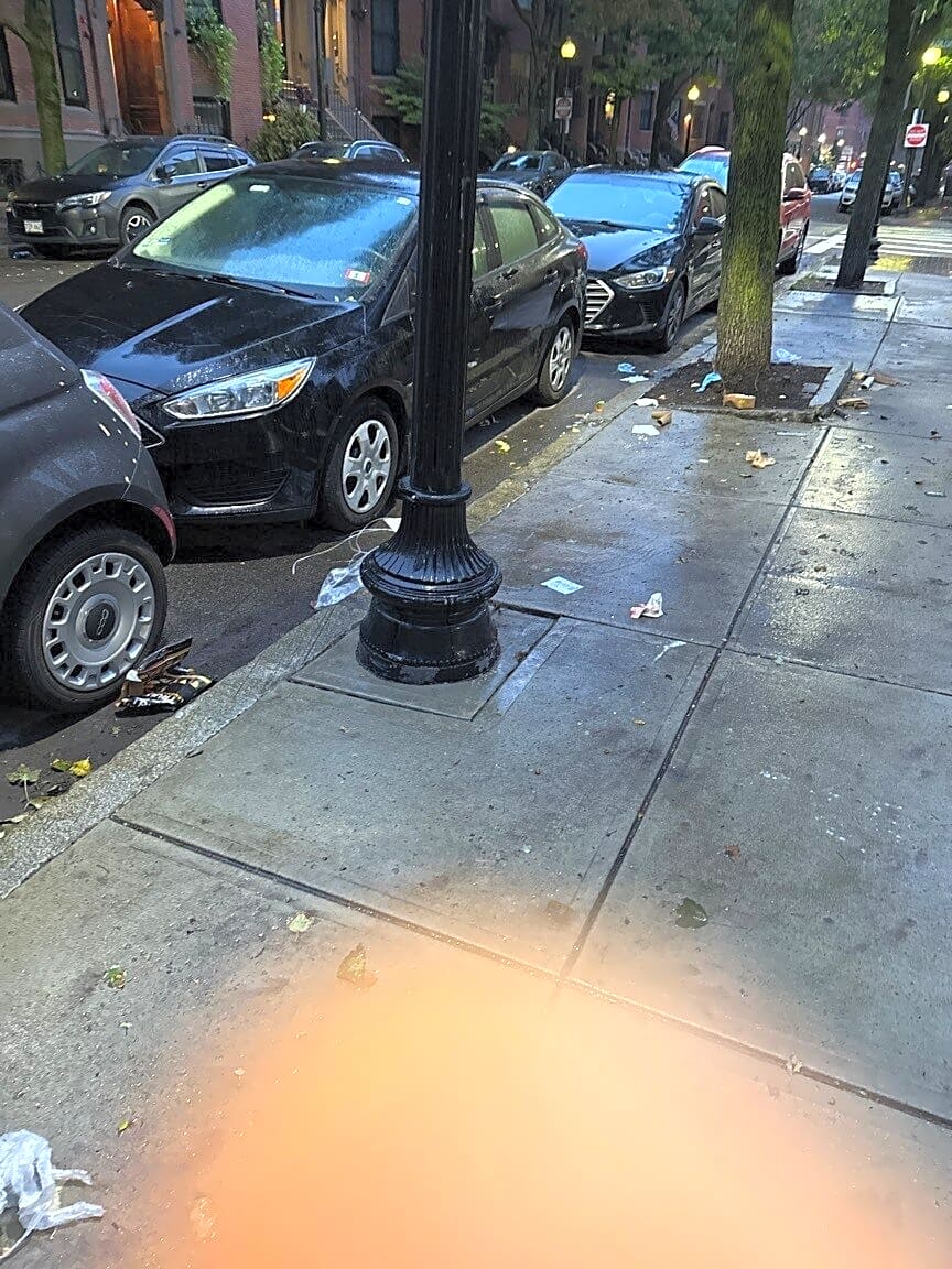 Image submitted with report