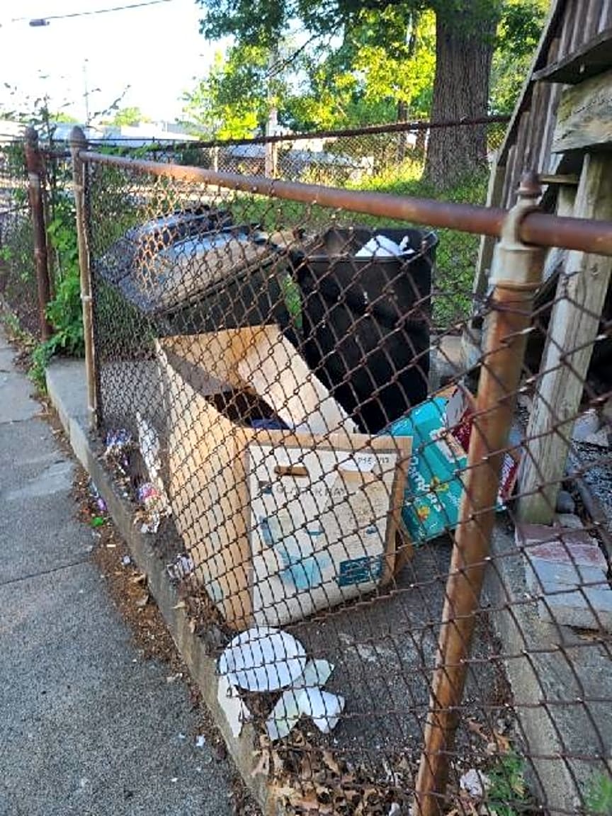 Image submitted with report