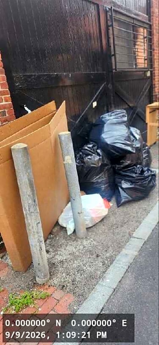 Image submitted with report