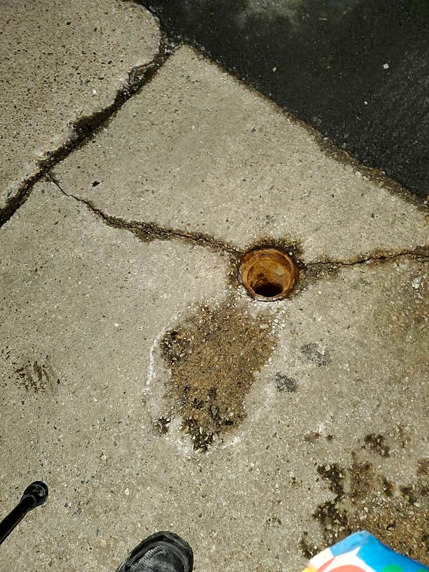 Image submitted with report