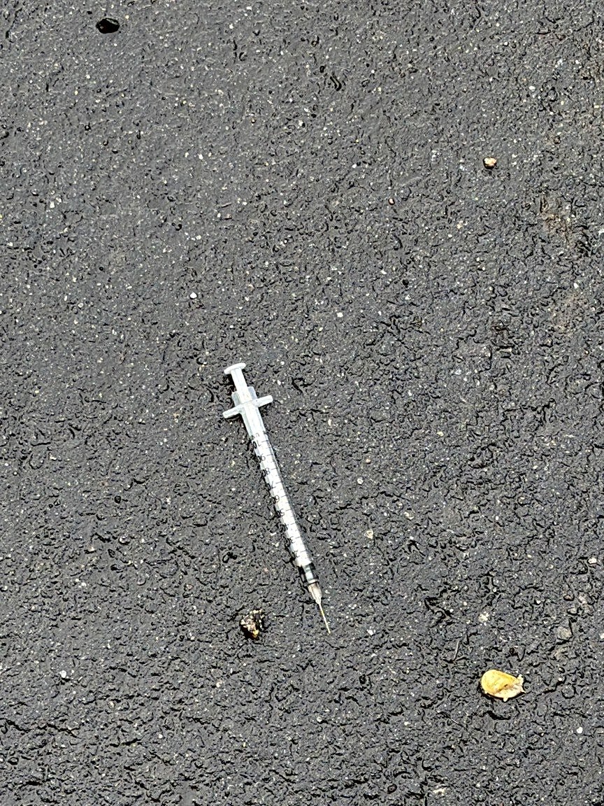 Image submitted with report