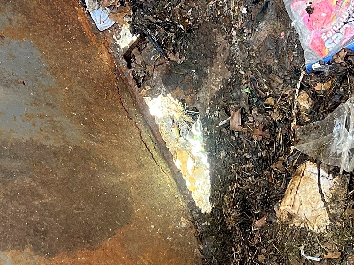 Image submitted with report