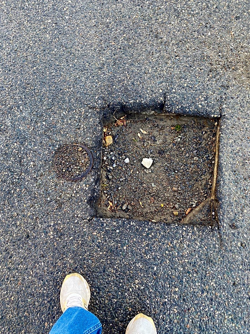 Image submitted with report