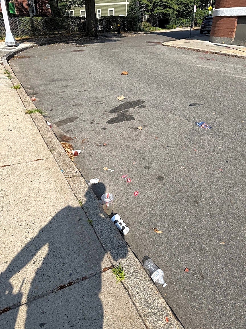 Image submitted with report