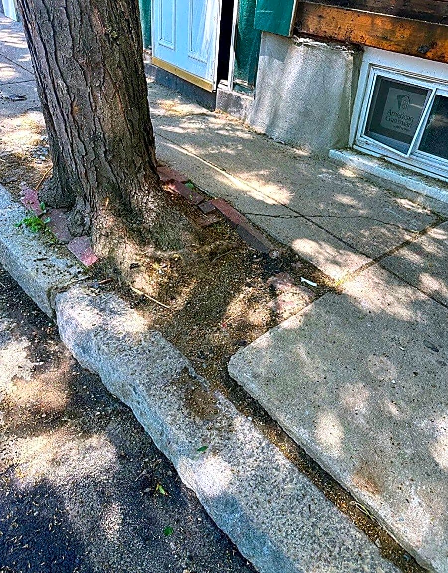 Image submitted with report