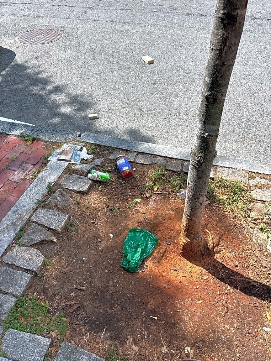 Image submitted with report