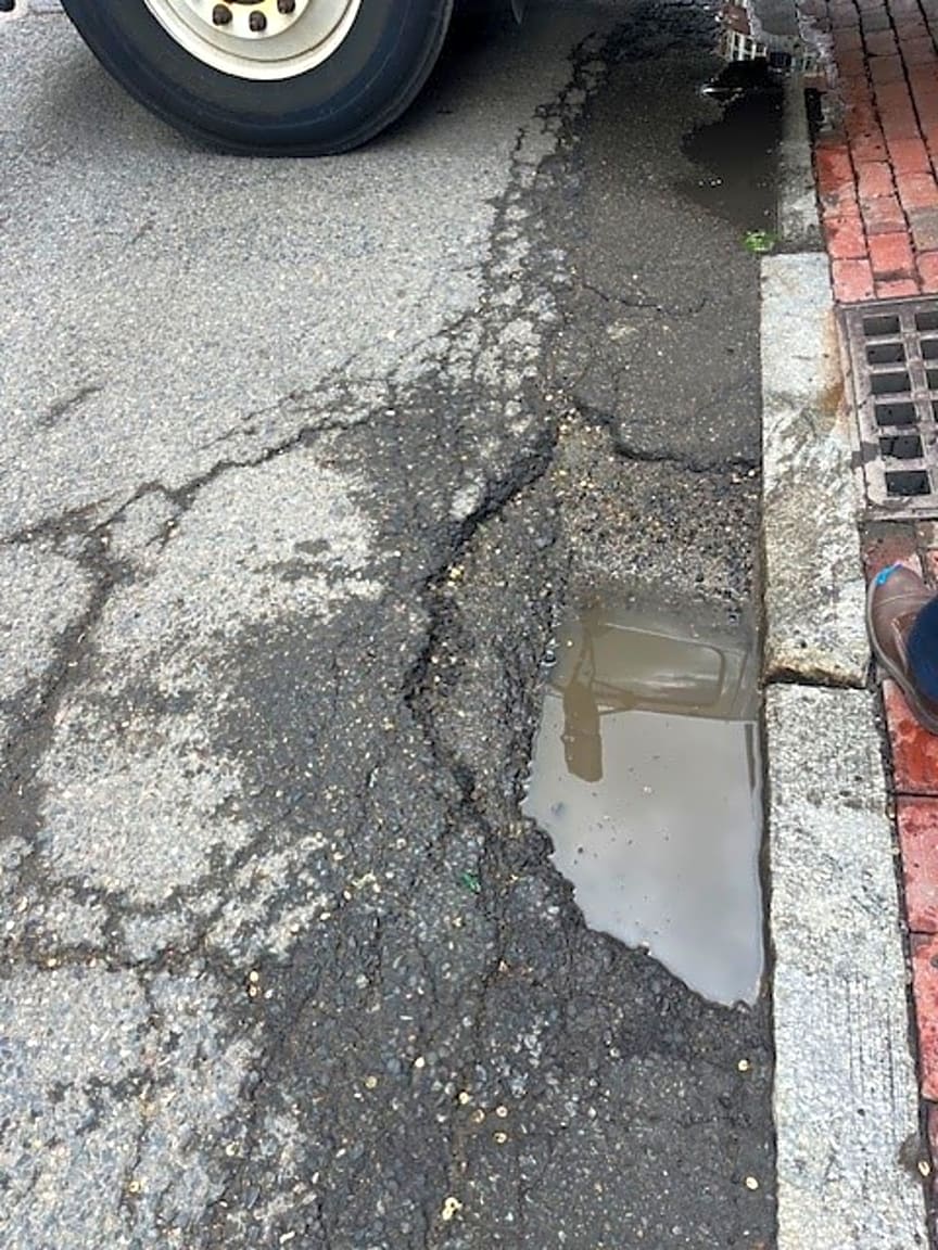 Image submitted with report