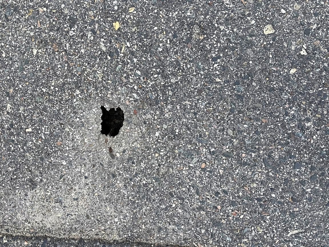 Image submitted with report