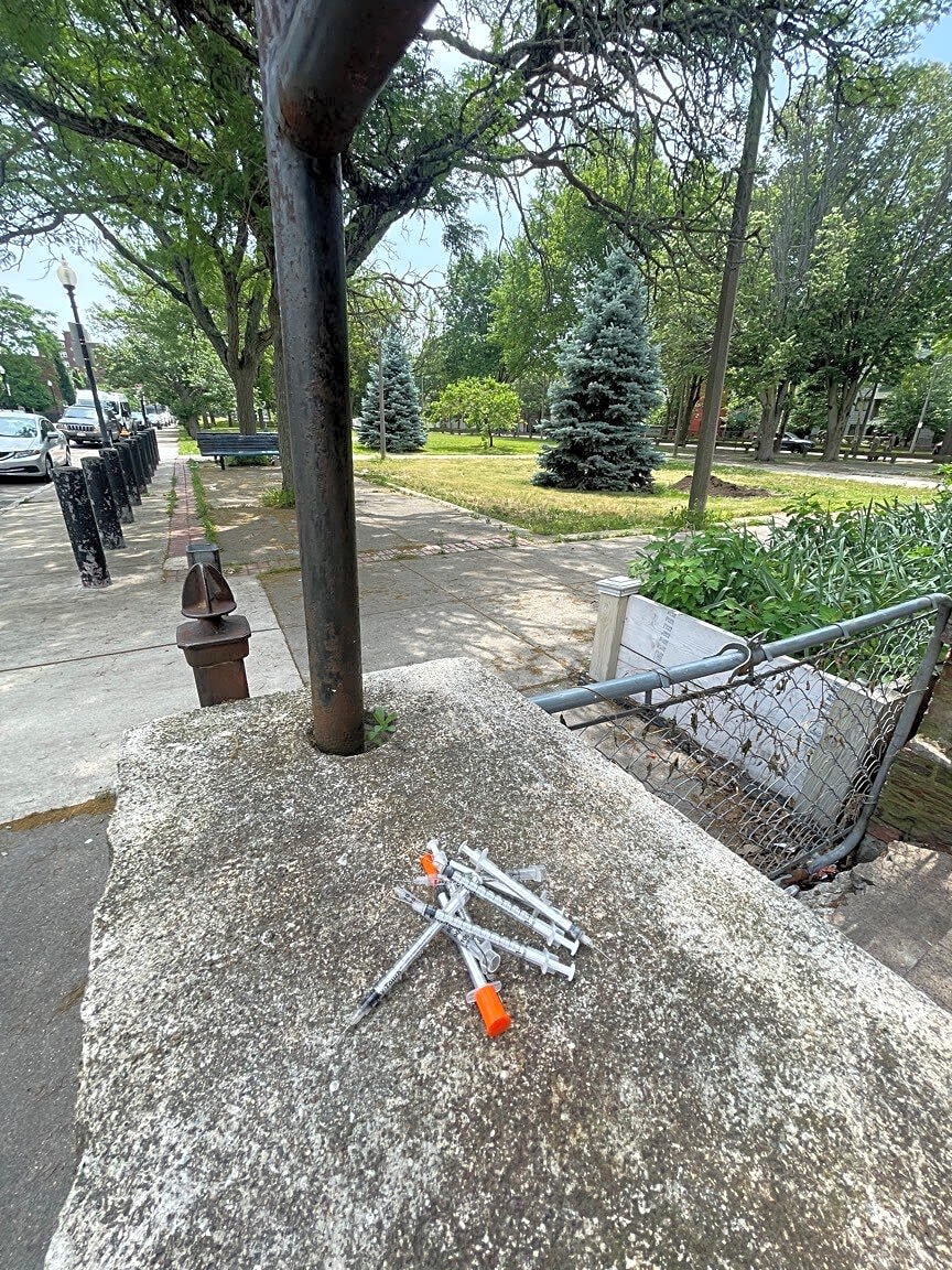 Image submitted with report