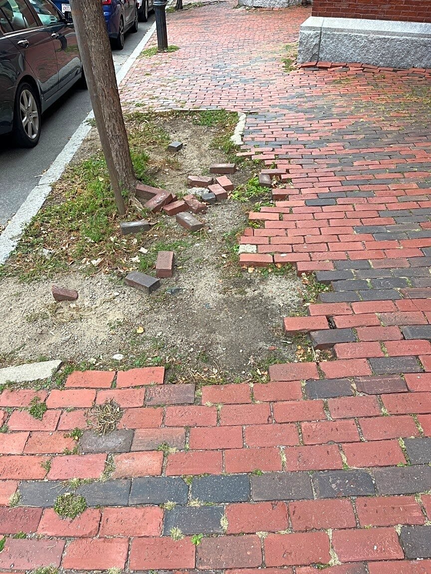 Image submitted with report
