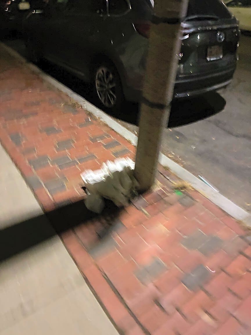 Image submitted with report