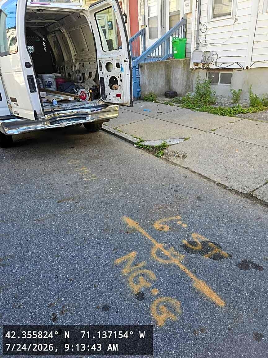 Image submitted with report