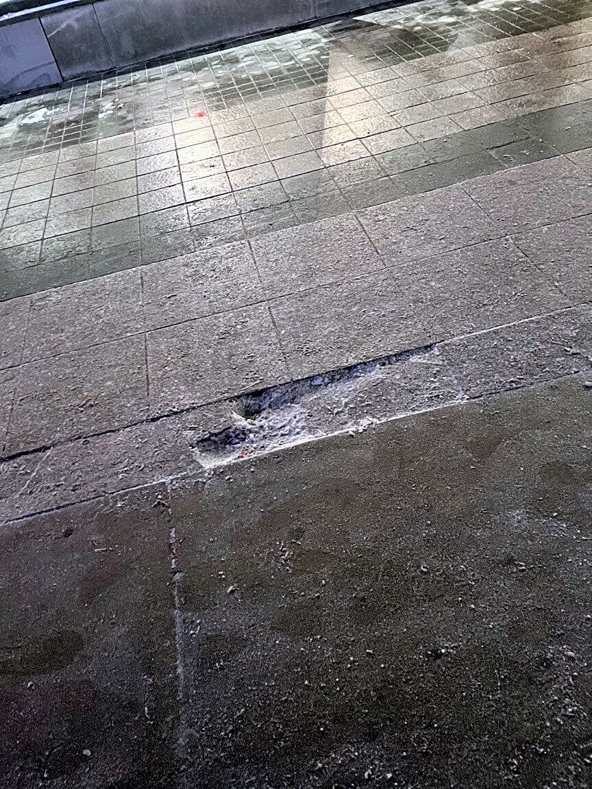 Image submitted with report