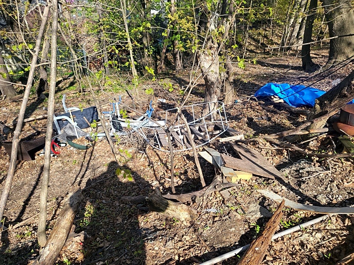 Image submitted with report