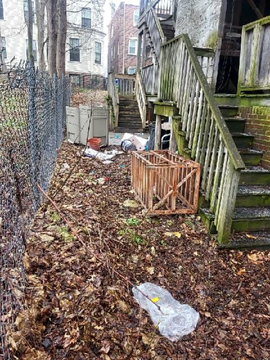 Image submitted with report