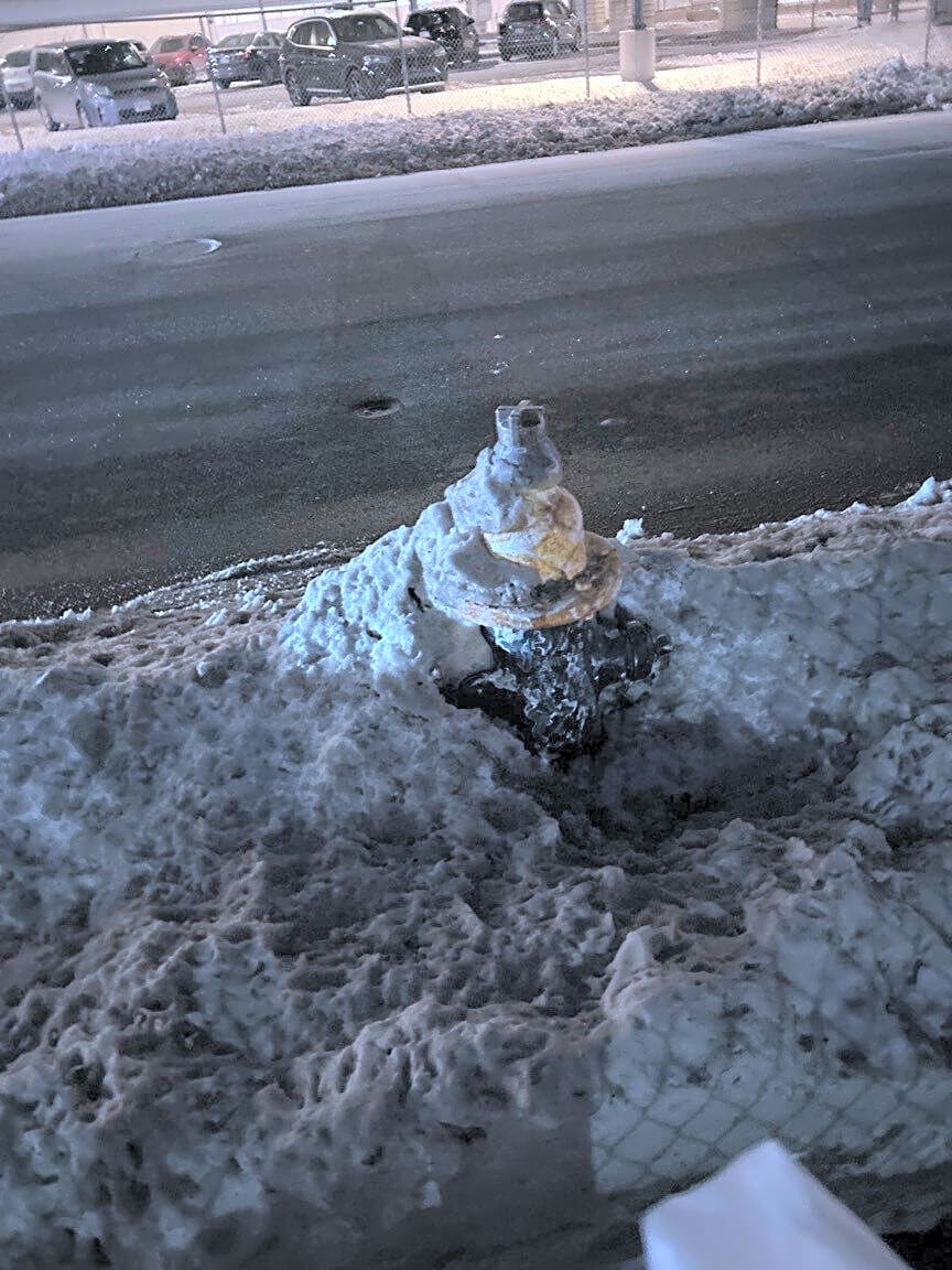 Image submitted with report