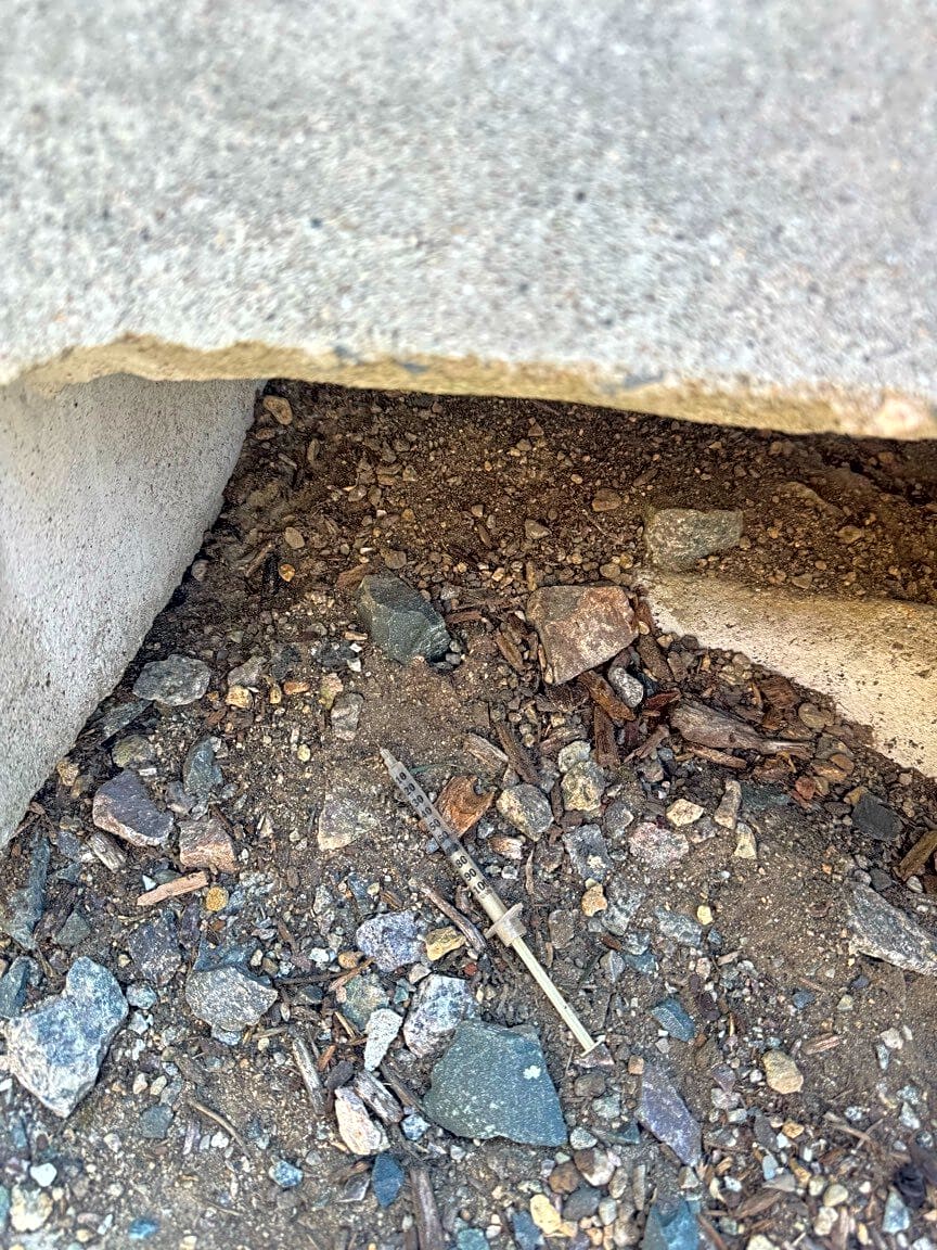 Image submitted with report