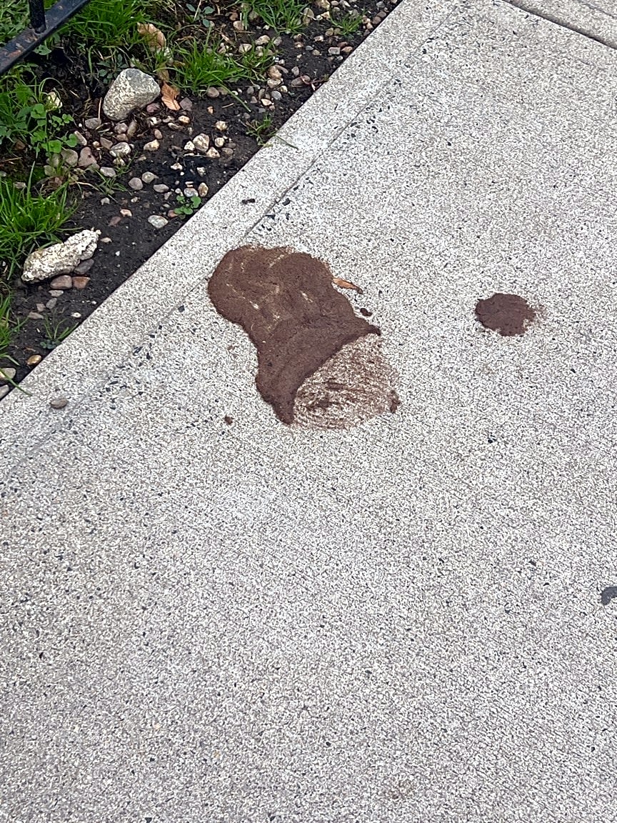 Image submitted with report